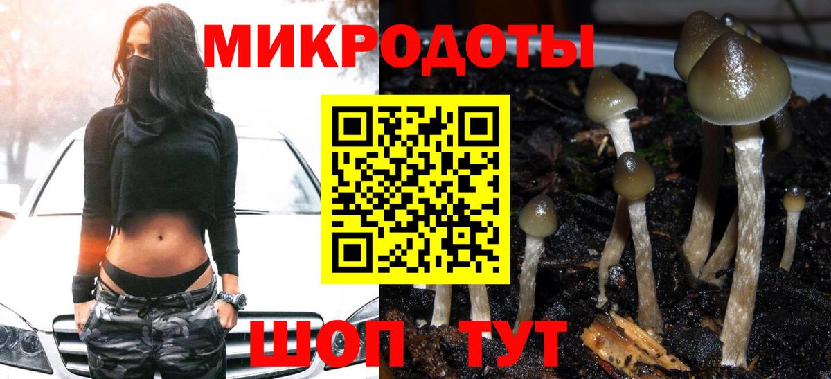 Осинники  Галлюциногенные грибы MAGIC MUSHROOMS  Псилоцибиновые грибы прущие грибы  Вход с VPN 